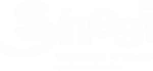 Logo Synesi