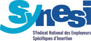 Logo Synesi